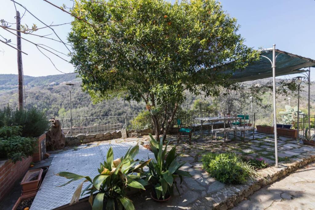 فيلا La Casa Di Sandra A نولي المظهر الخارجي الصورة
